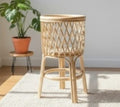 Round rattan standing pot