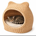 Rattan cat bed